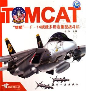 雄貓F(tuán)14艦載多用途重型戰(zhàn)斗機(jī) 雄貓F(tuán)14艦載多用途重型戰(zhàn)斗機(jī)