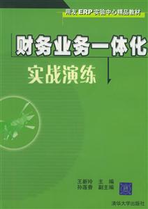 財務業務一體化實戰演練1CD 財務業務一體化實戰演練1CD