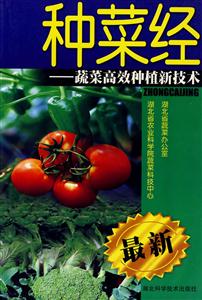 種菜經:蔬菜高效種植新技術 種菜經:蔬菜高效種植新技術