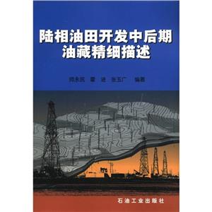 陸相油田開發(fā)中后期油藏精細(xì)描述 陸相油田開發(fā)中后期油藏精細(xì)描述