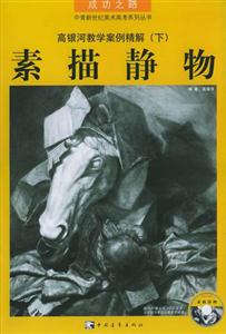 高銀河教學(xué)案例精解下素描靜物 高銀河教學(xué)案例精解下素描靜物