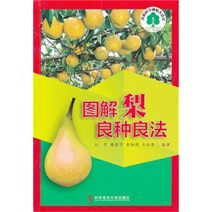 圖解梨良種良法 圖解梨良種良法