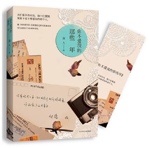 你不愛我的那些年 你不愛我的那些年