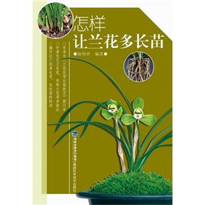 怎樣讓蘭花多長苗 怎樣讓蘭花多長苗