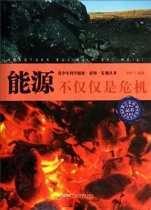 能源不僅僅是危機 能源不僅僅是危機