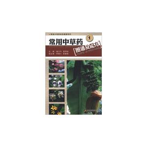 常用中草藥圖譜及配方1 常用中草藥圖譜及配方1