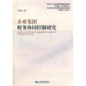 企業集團財務協同控制研究 企業集團財務協同控制研究